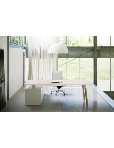 Woods Executive Desk - Fantoni